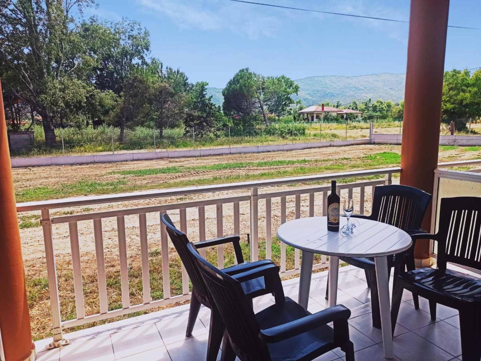 House Michalis Aparthotel Sarti Buitenkant foto