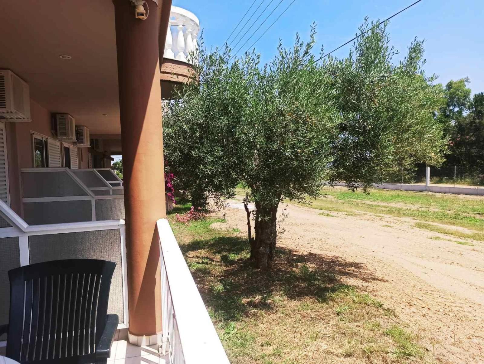 House Michalis Aparthotel Sarti Buitenkant foto